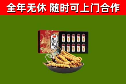鼓楼区回收冬虫夏草价格